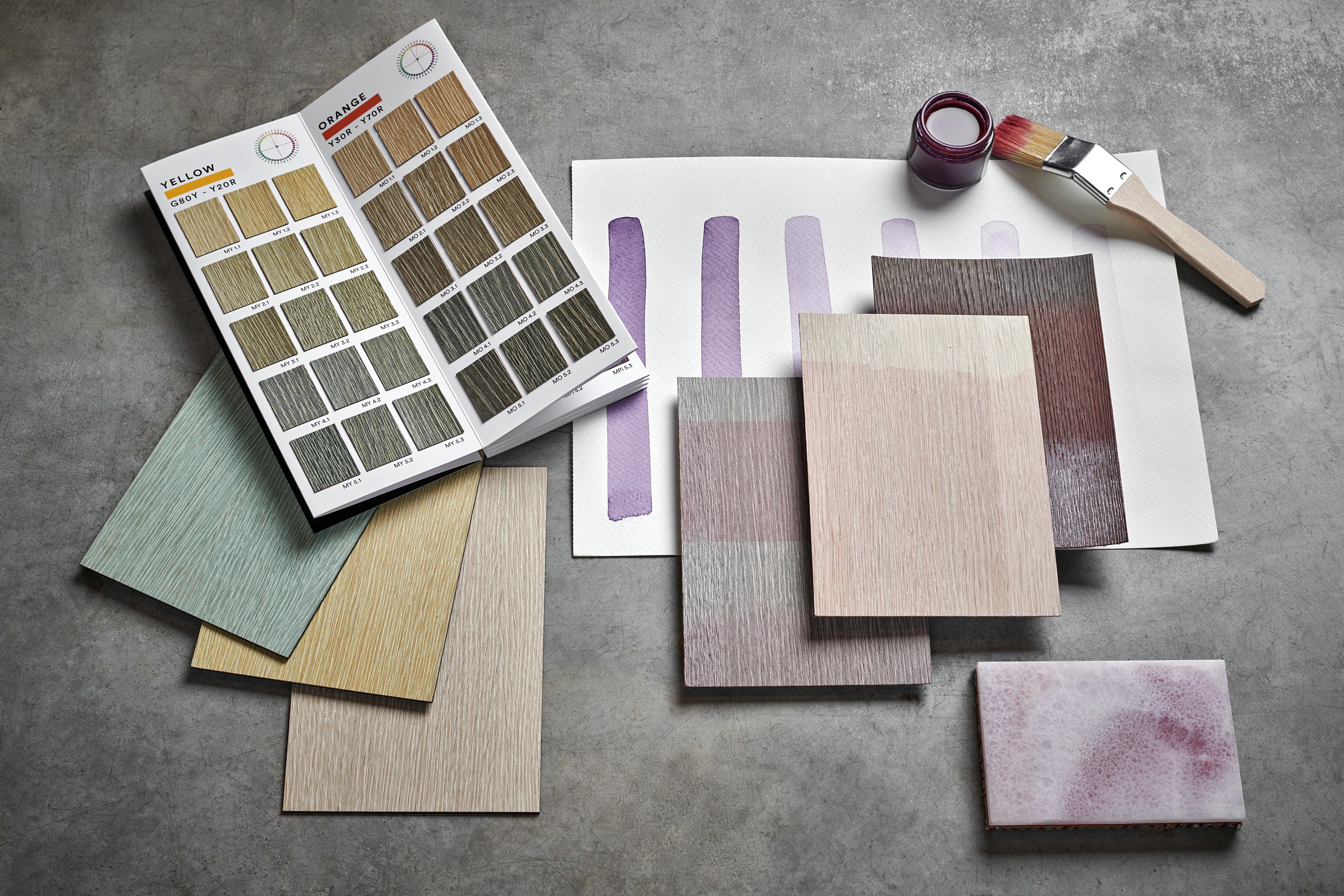 Conectados por los colores: Mundos cromáticos en armonía – Nuestra colaboración con Freifrau y Janua