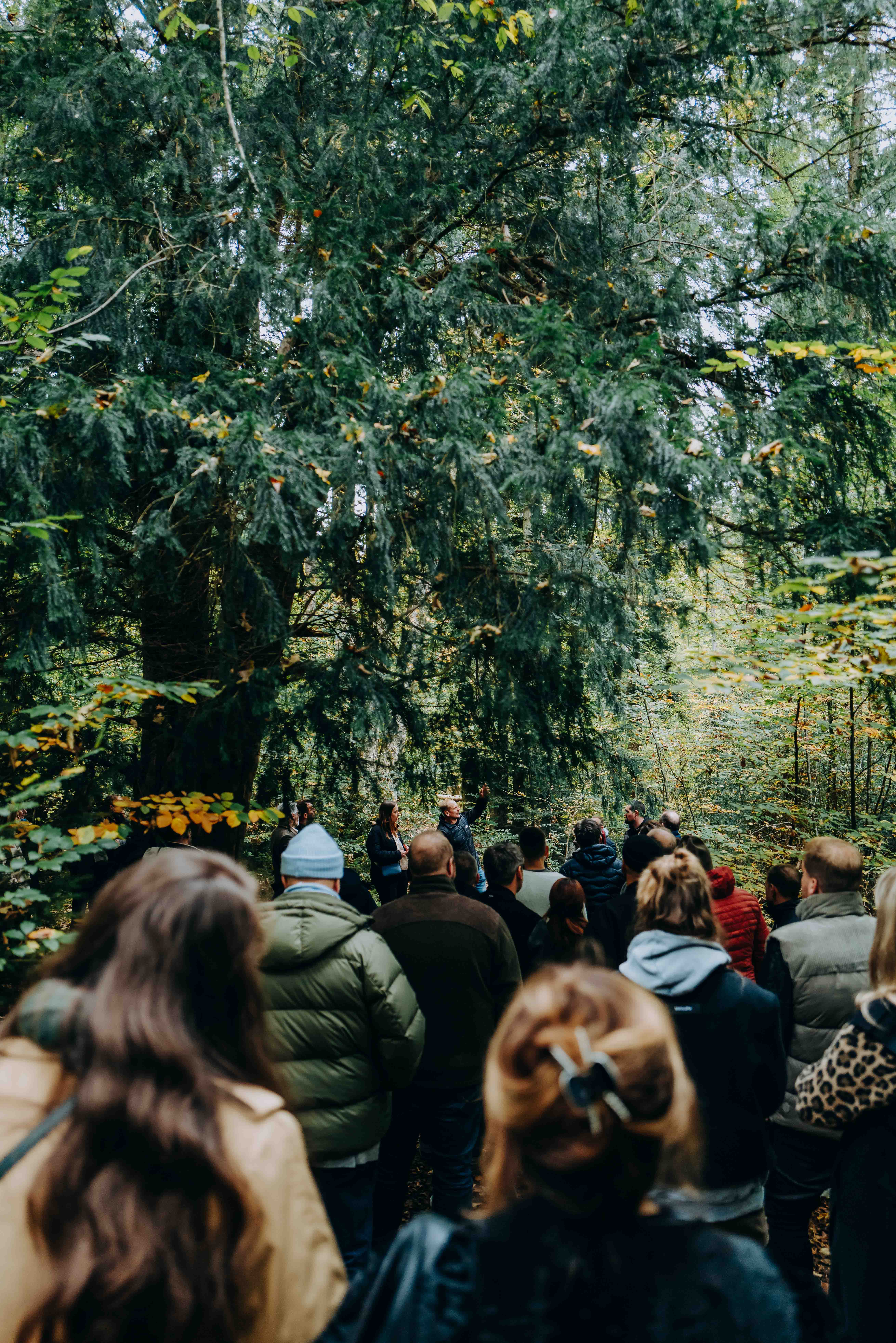 Nuestro evento de lanzamiento: Connected by Colours 2025: Un lenguaje de colores. Tres marcas en diálogo