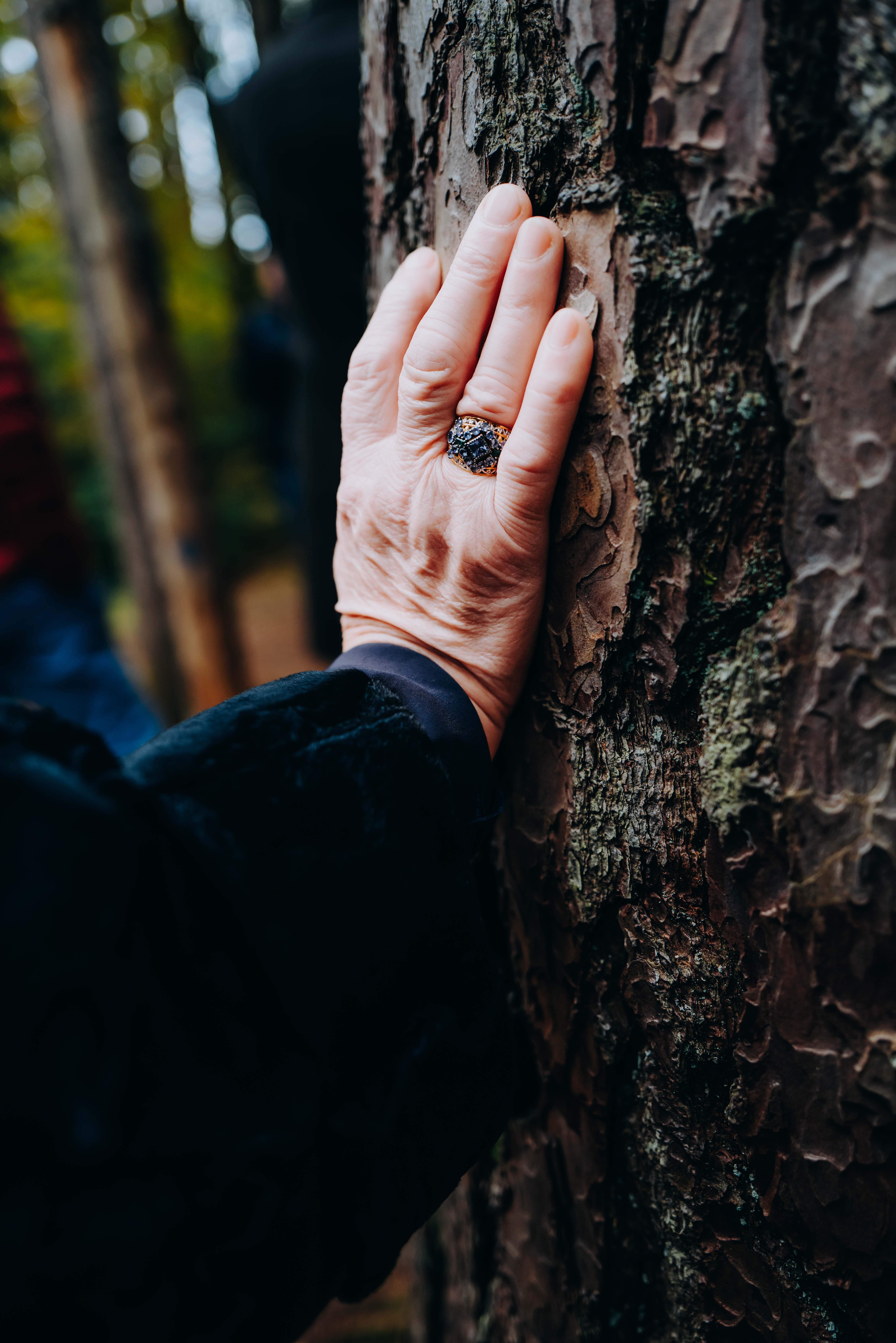 Nuestro evento de lanzamiento: Connected by Colours 2025: Un lenguaje de colores. Tres marcas en diálogo