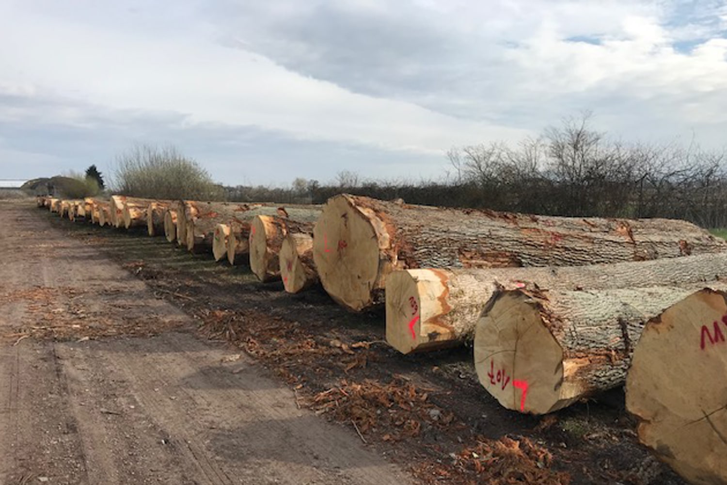 Unser Rohmaterial vor dem Export in Frankreich.